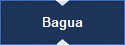 Bagua